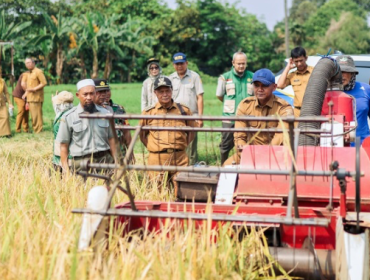 Panen Raya di Katulampa, Dukung Swasembada Pangan (photo : kominfo)