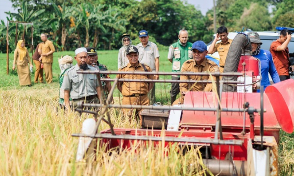 Panen Raya di Katulampa, Dukung Swasembada Pangan (photo : kominfo)